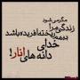 مهرنوش علی گلی