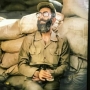 مجتبی گرگی