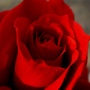 مهدی توحیدی